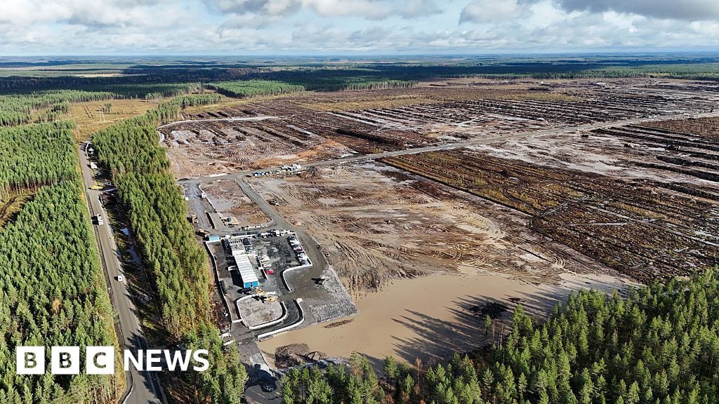 La Finlandia ferma il disboscamento di Google