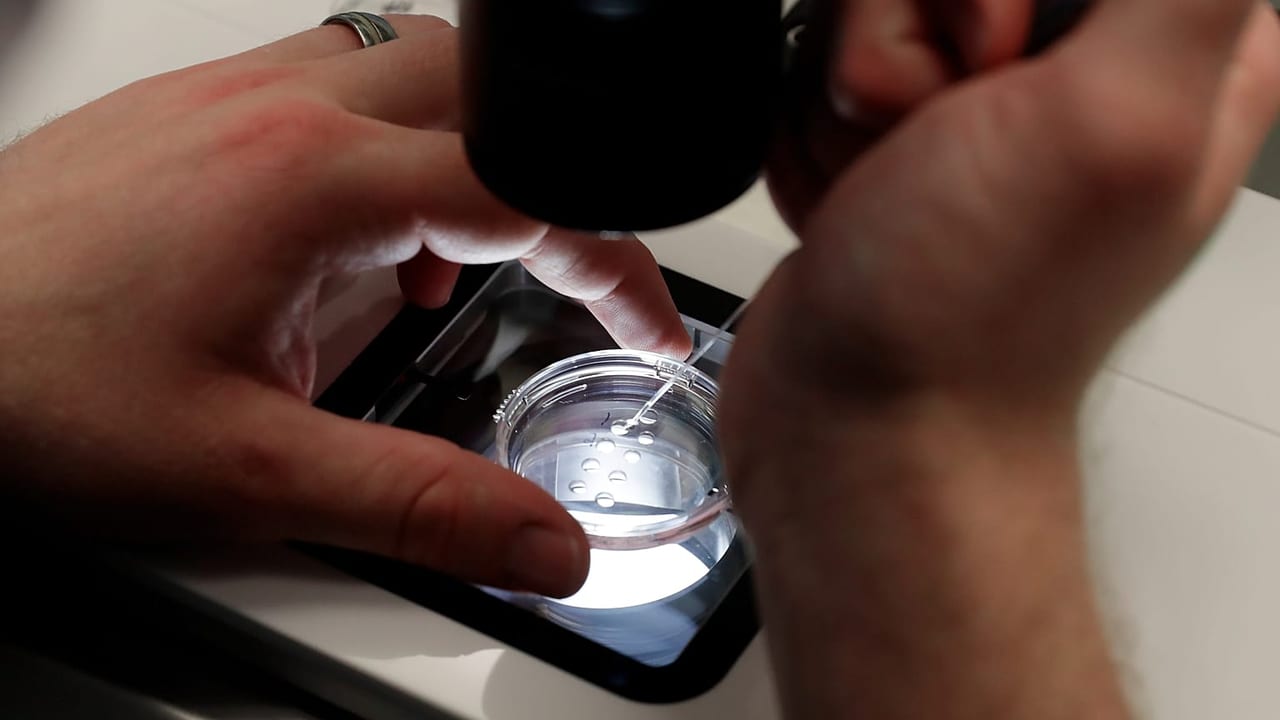 Kliniki IVF sprzedały nadzieję, a nie wyniki