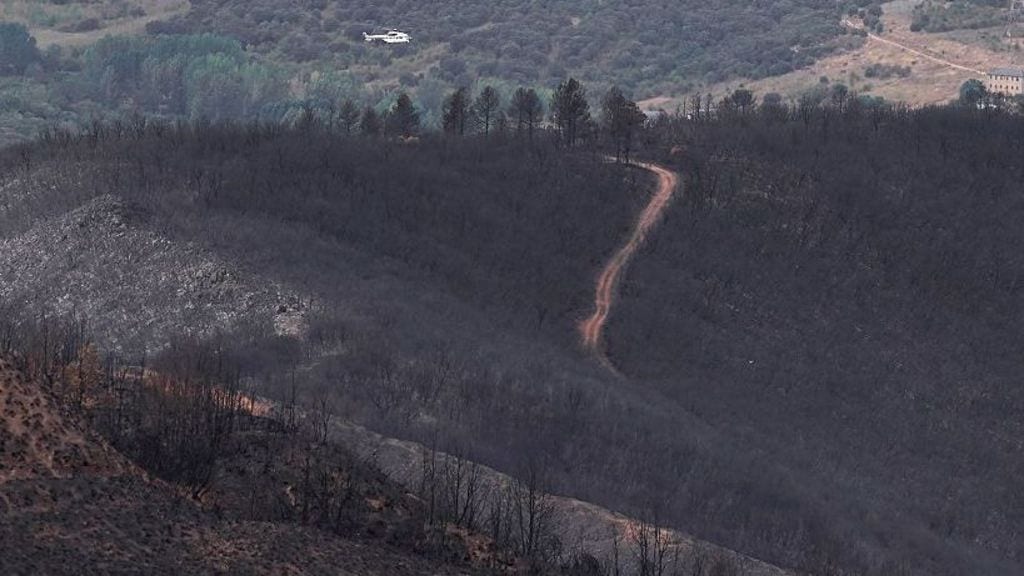 Una «emergencia climática», afirma