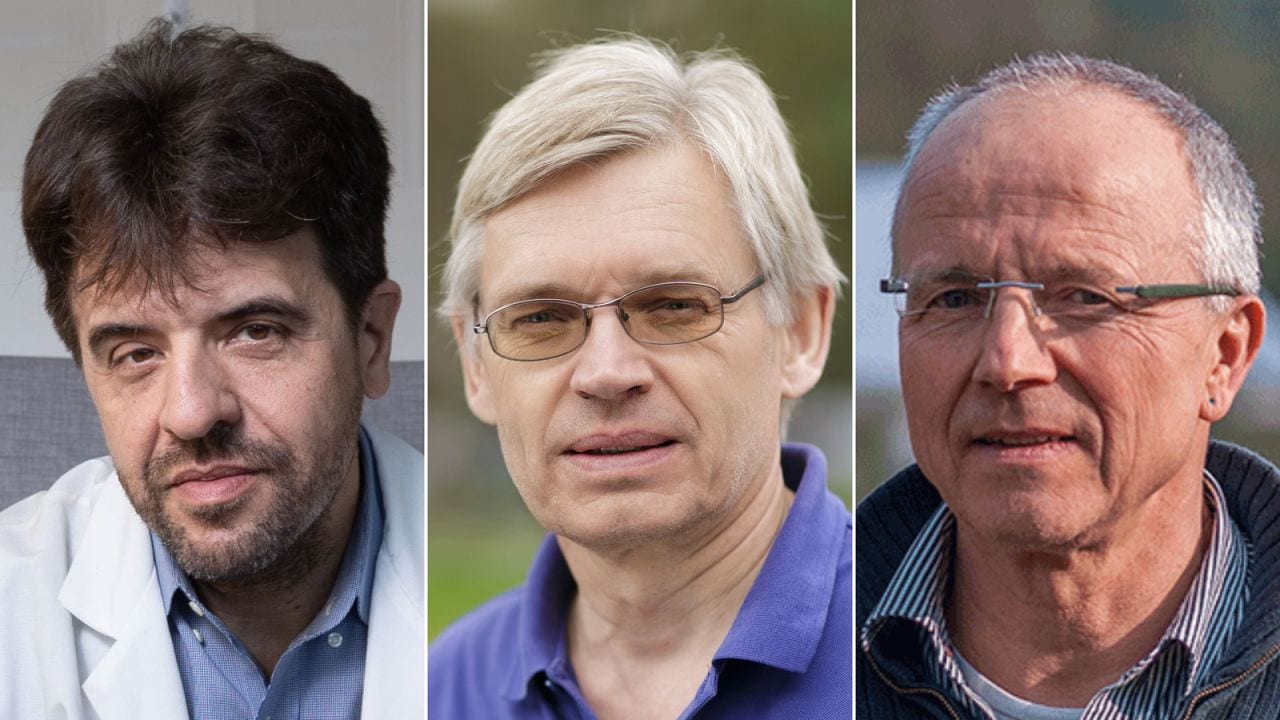 Nobelpreis für die Beleuchtung des Gehirns