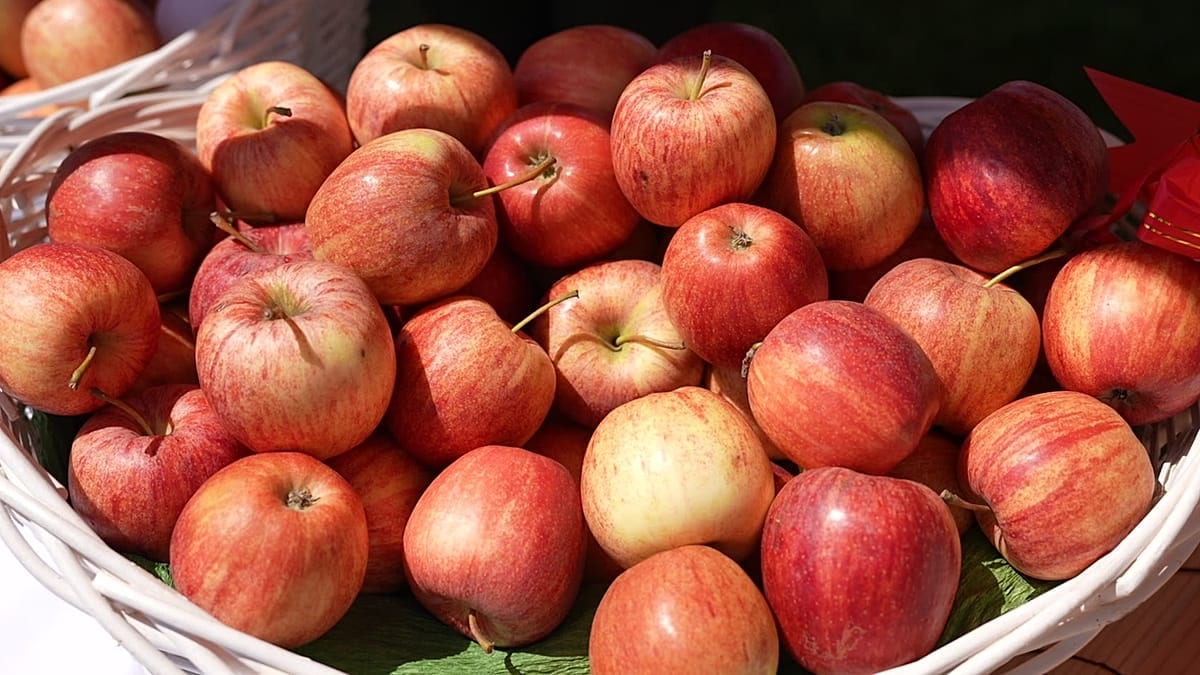 Dein Apfel stammt aus Kasachstan